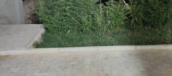 Elizabeth BB Homestay, unlimited internet, Netflix 