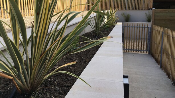 Un jardín con un sendero de concreto, una cerca de madera y una reja de metal.