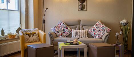 TV, DVD player, books, music library