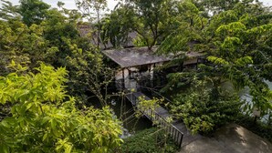 A traditional wooden house with a thatched roof, surrounded by lush greenery and a water body. - Ploen Pirom (Bangkok)