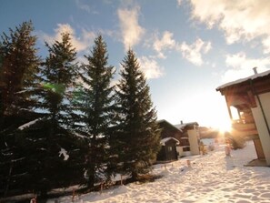 Escape to a serene winter wonderland surrounded by tall evergreen trees and a cozy building.
