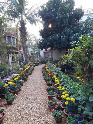 Jardín
