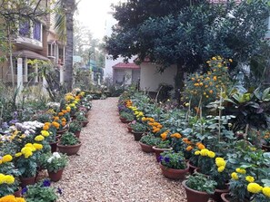 Garden - Sri Krishna Chaitanya Resort (Bolpur)