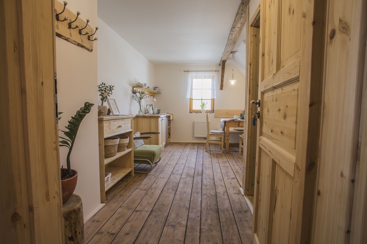 Familienapartment | Minibar, individuell dekoriert, schallisolierte Zimmer, Bettwäsche