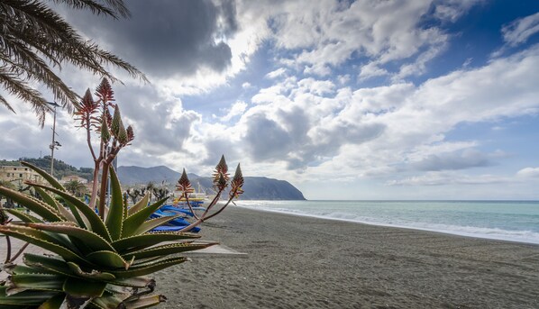 A beach with a clear sky, a sandy shore, and some plants in the foreground.