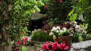 Un jardín con plantas en macetas y flores, un sendero de piedra y un edificio al fondo.