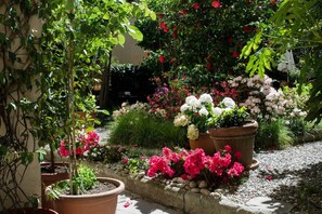 Terrain de l’hébergement 