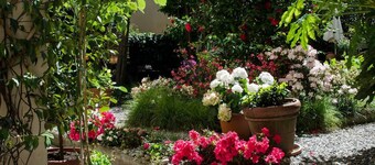 JOIVY Cute 1-bedroom flat next to Lake Como