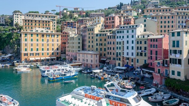 A coastal town with colorful buildings, a marina with boats, and a hillside in the background. - JOIVY Porto Bello a Camogli (Camogli)