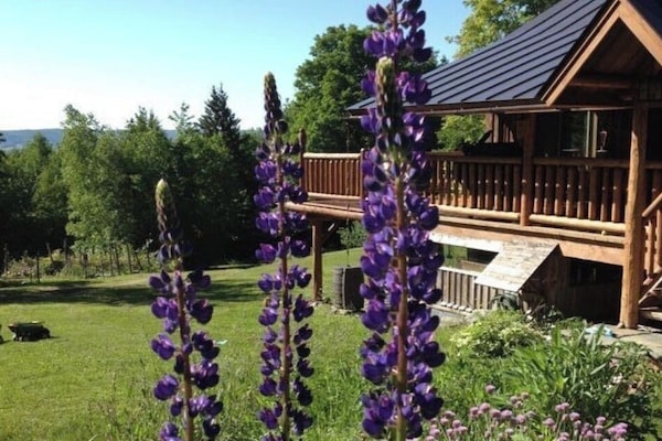 Summer view
