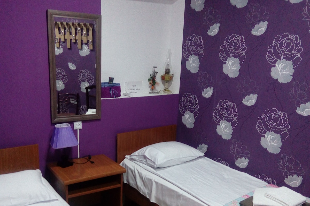 Chambre avec lits jumeaux, salle de bains commune (№1)