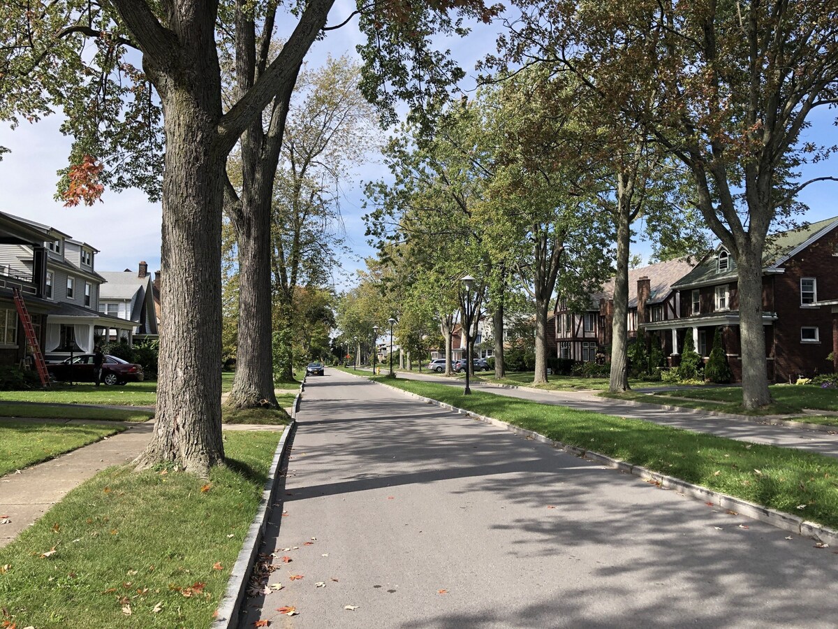 Foto de perfil del anfitrión