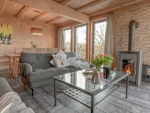 Fernseher, Kamin, DVD-Player