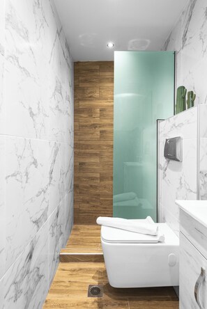 Ducha, secador de pelo, toallas, jabón