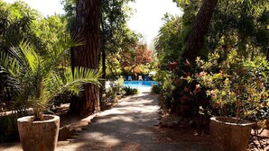 Un sentier qui mène à une piscine entourée d’une végétation luxuriante et de grands arbres.