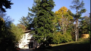 Ein Haus, umgeben von hoch aufragenden Nadelbäumen und einigen Laubbäumen mit gelben Blättern.