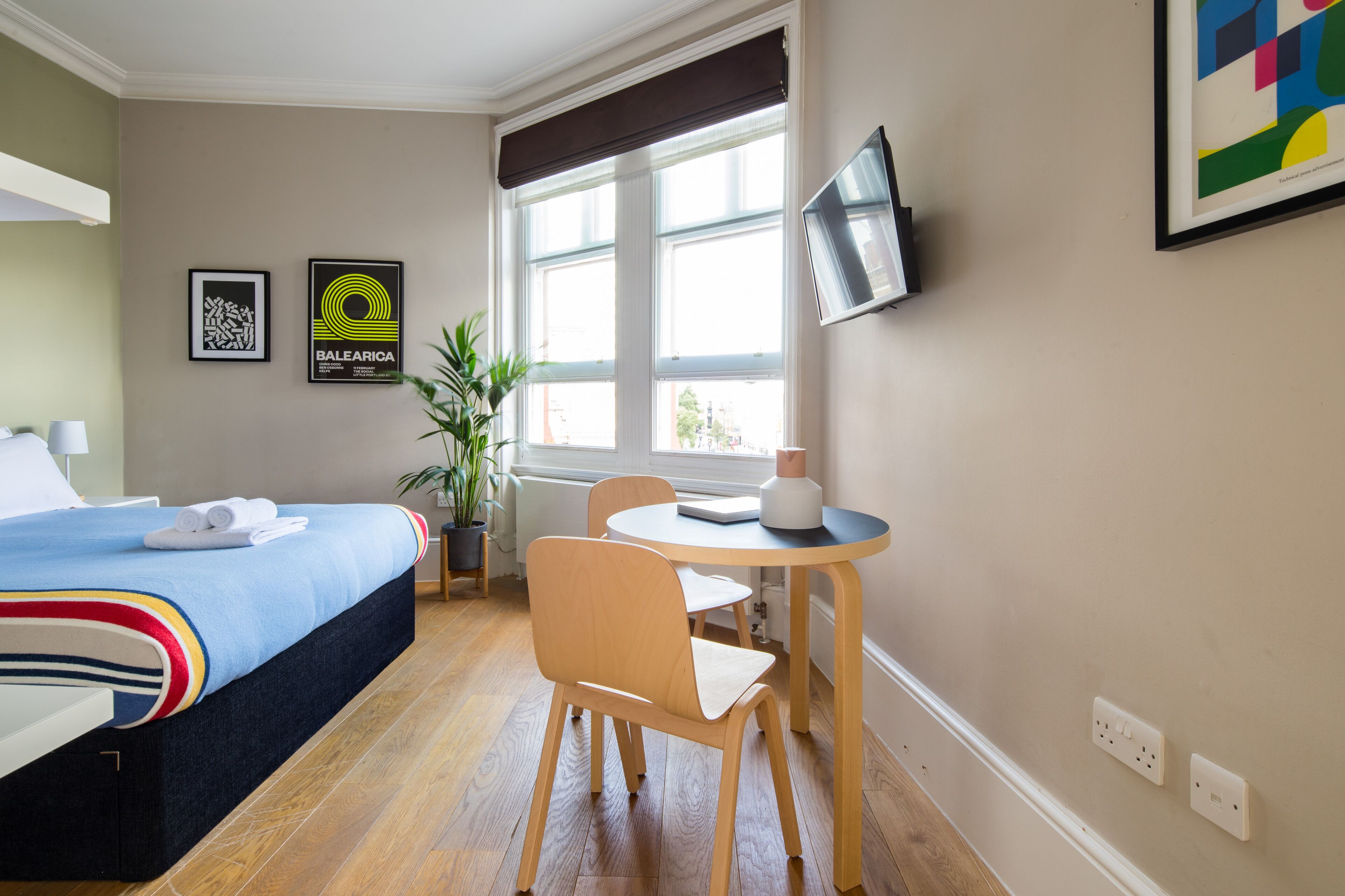 A hotel room with a bed, a desk, a chair, a potted plant, and a TV on the wall.