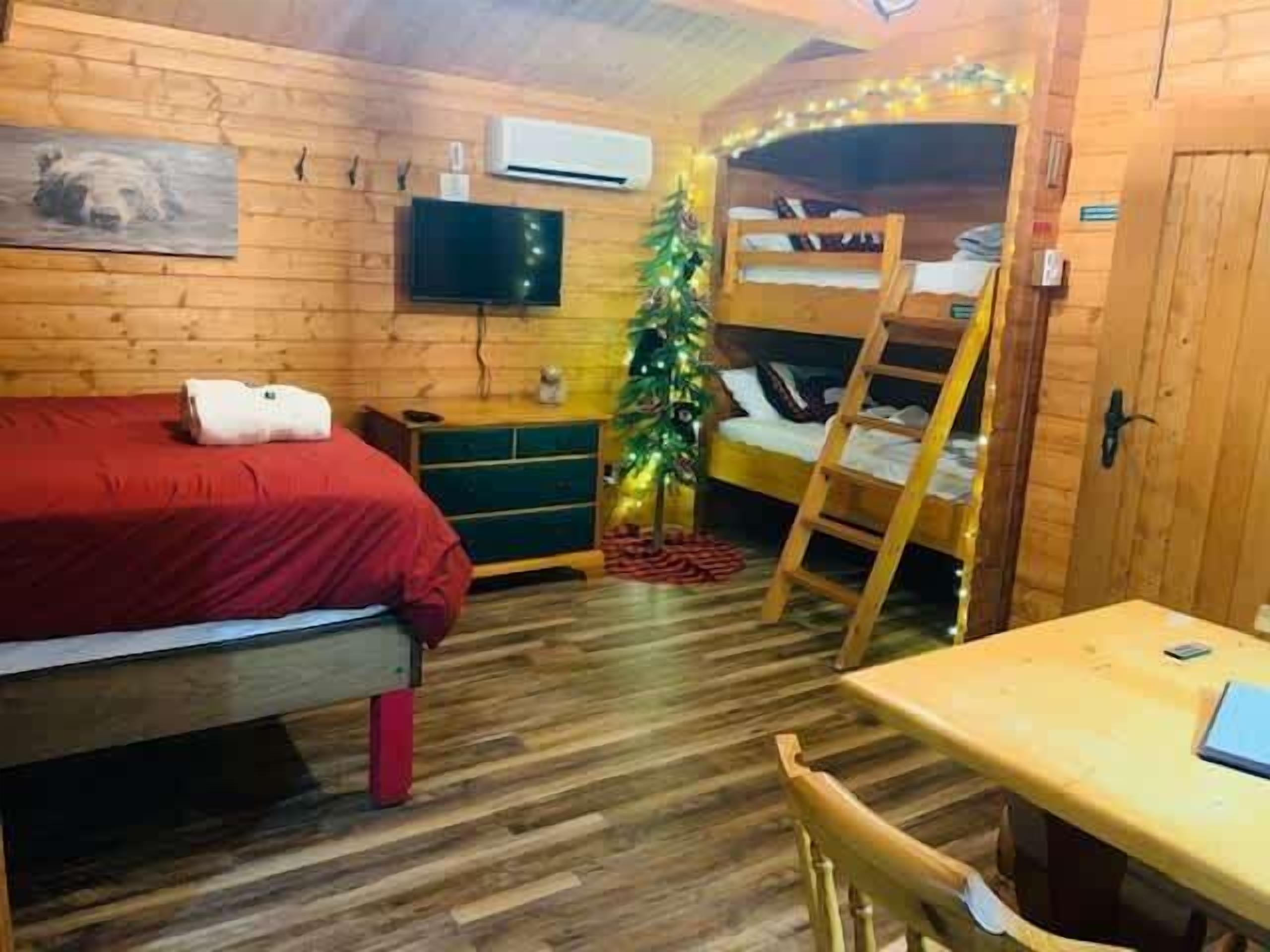 Een gezellige kamer met een stapelbed, een bureau, een televisie en een kerstboom.