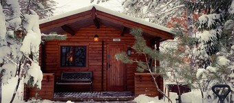 Honey Bear Hideaway Cabin