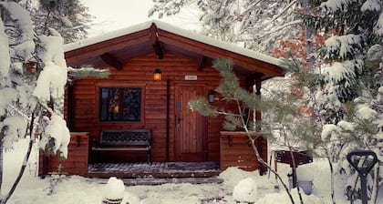 Honey Bear Hideaway Cabin