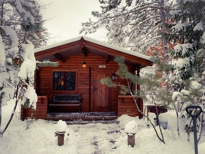 Honey Bear Hideaway Cabin