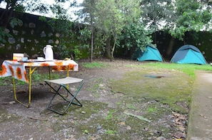 Vista desde la habitación