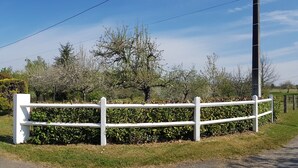 Un camino rural que lleva a una casa con valla blanca, rodeada de follaje y árboles.
