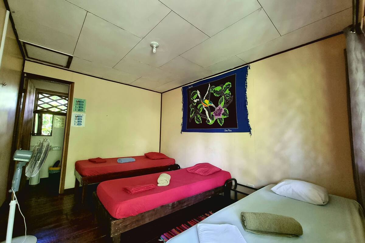 Classic Room, 3 Single Beds, Garden View | In-room safe, free WiFi, bed sheets