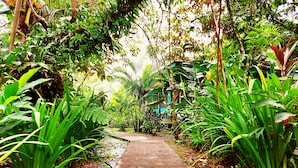 Living area - Cabinas Tortuguero (Colorado)