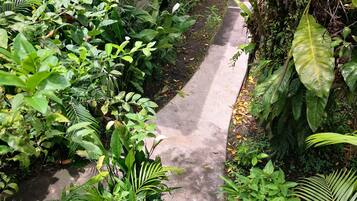 Basic Room, 2 Twin Beds, Shared Bathroom | View from room