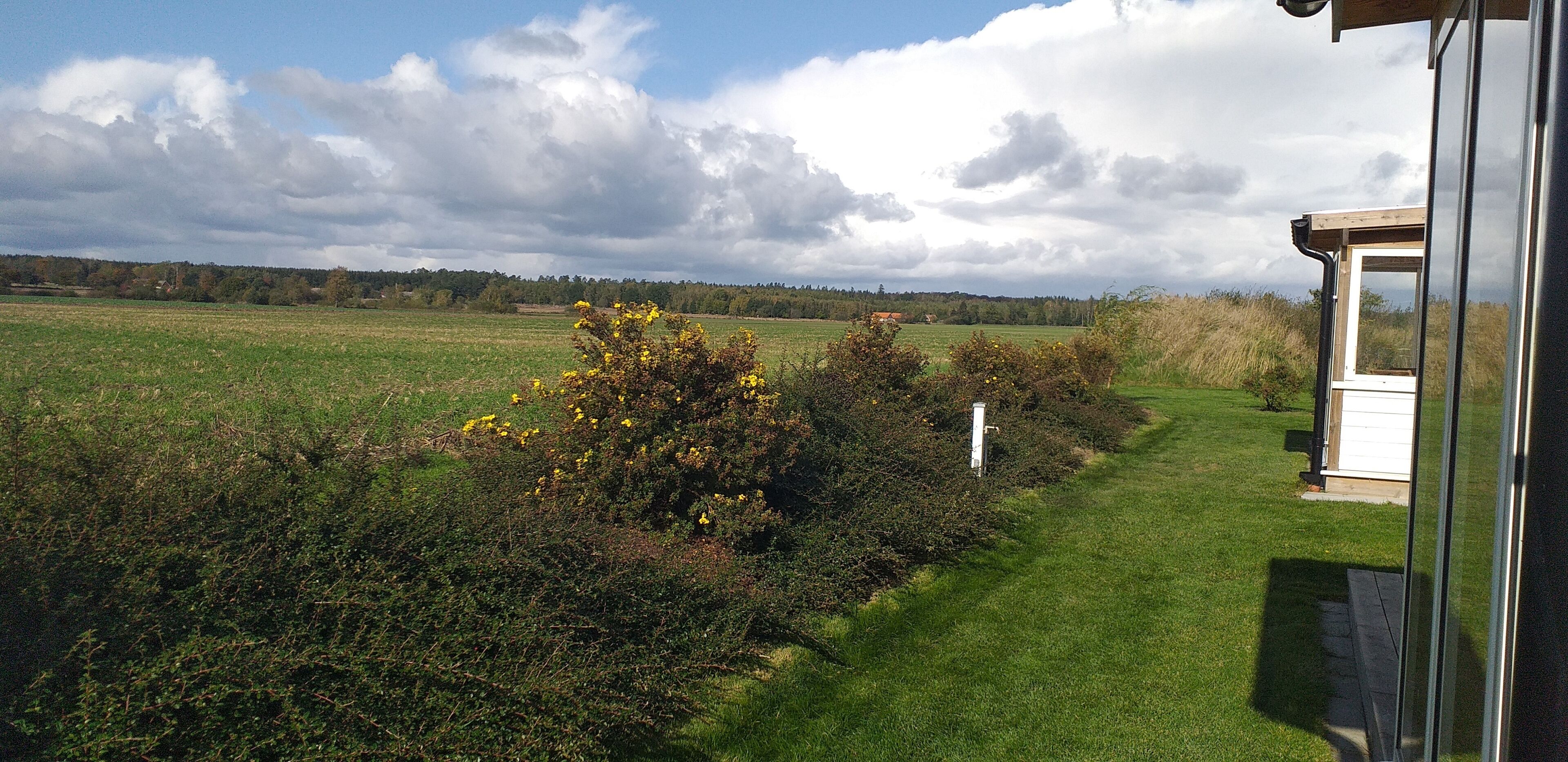 A view of a grassy field with a wooden structure and a clear sky.