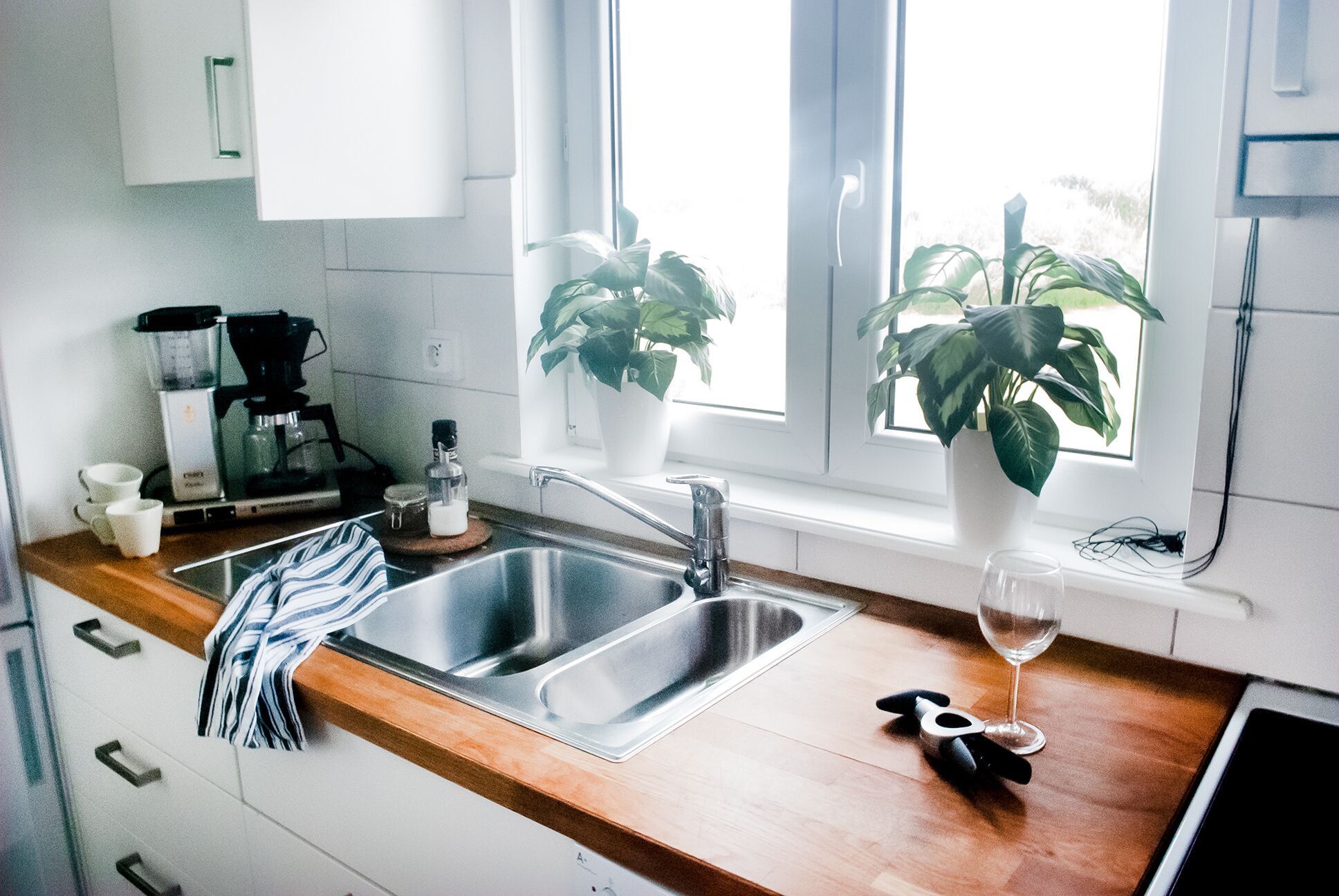 A kitchen with a double sink, a coffee maker, and two potted plants by the window.