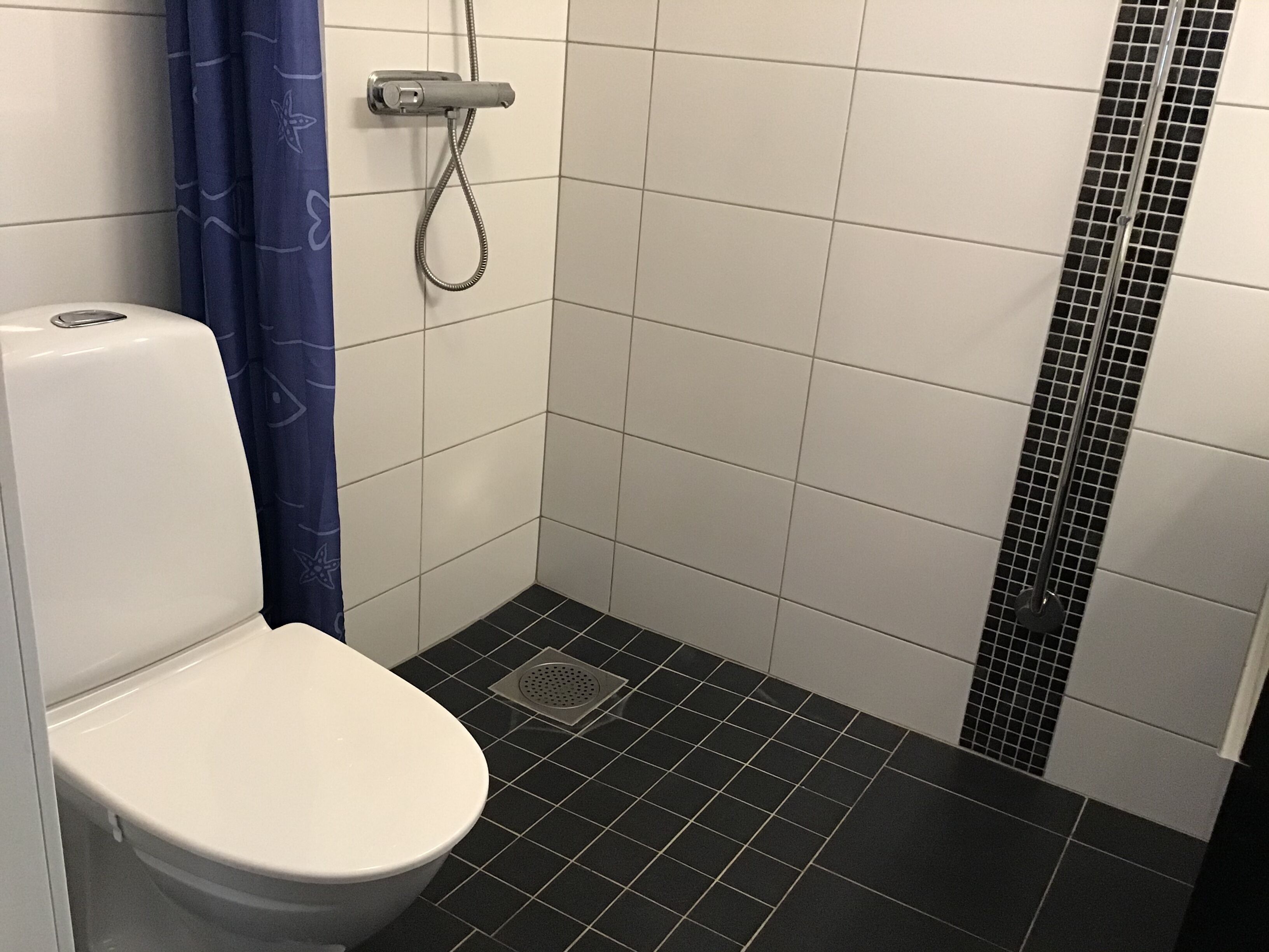 Ett badrum med en vit toalett, en dusch med en justerbar duschslang och svart kakel på golvet.