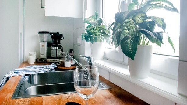 A kitchen with a coffee maker, a sink, and a potted plant by the window. - Nordanå Gård (Vinslov)