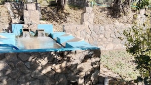 Una fuente natural con cuenca de piedra y escalones, rodeada de árboles y un muro de piedra.