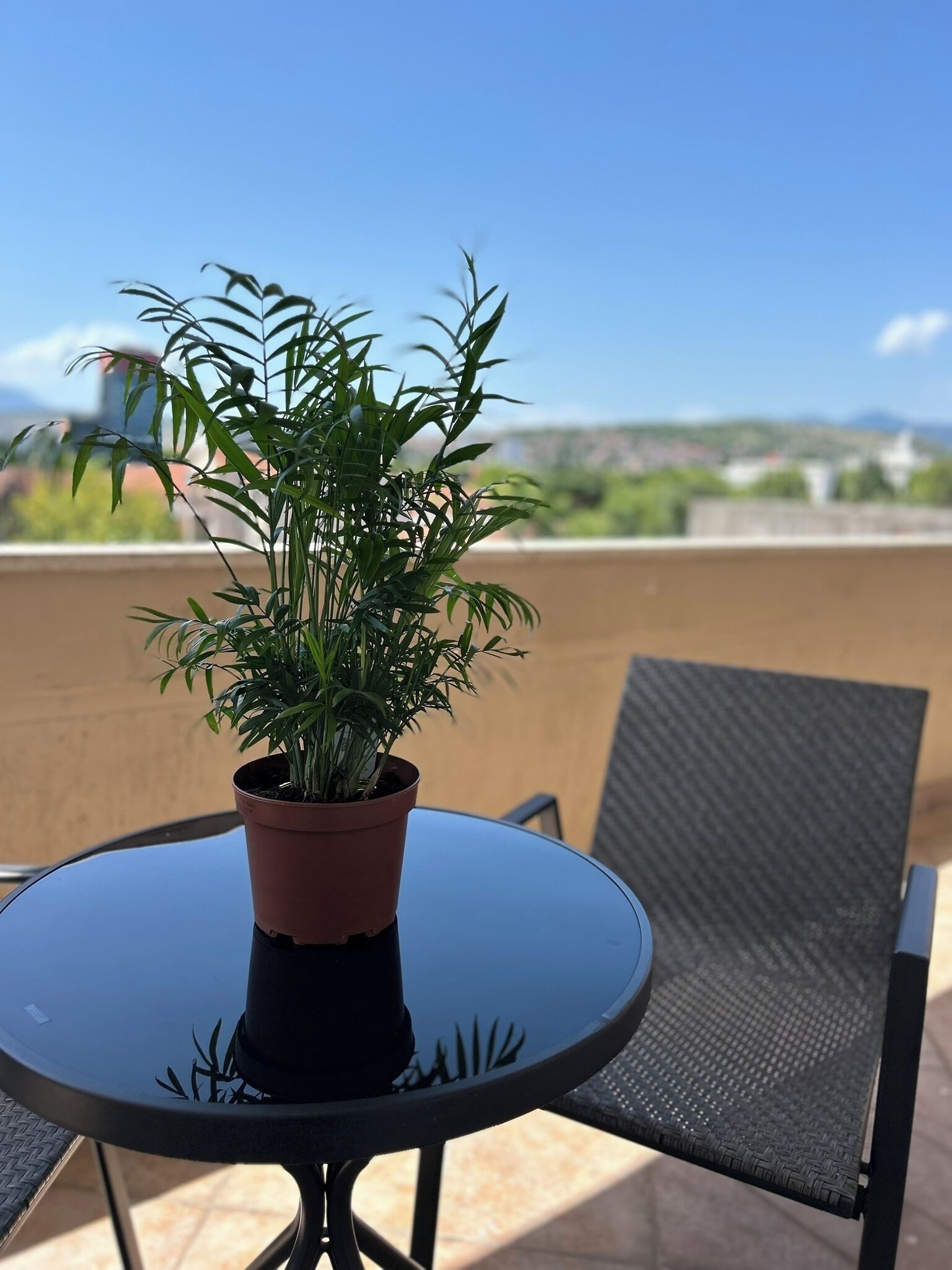 basic double room, city view | terrace/patio