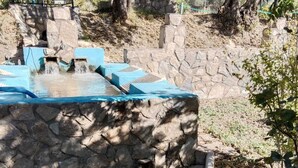 A natural water feature with a stone basin and steps, surrounded by trees and a stone wall. - Casita Vista Alegre. (castril)