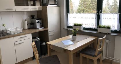 Completely Renovated 1-room Apartment in the City Center