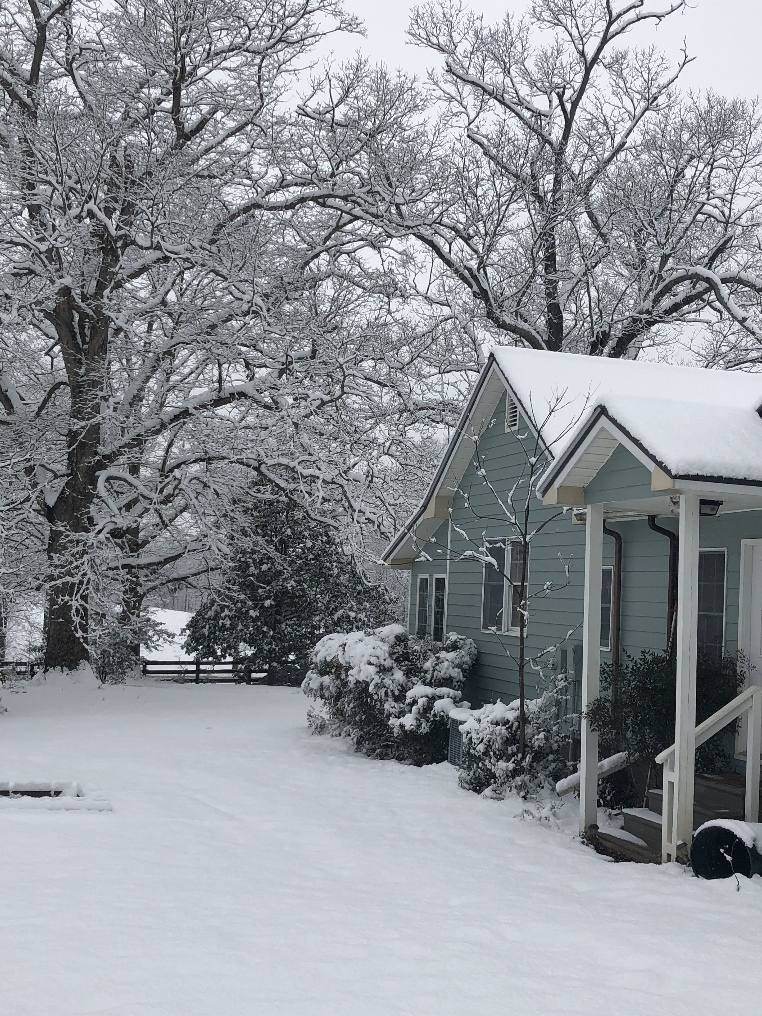 Snow day