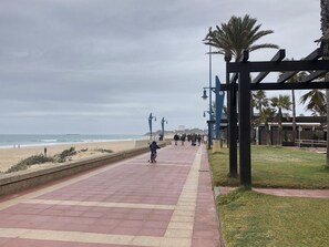 Ein gepflasterter Weg führt zu einem Strand mit Palmen und einem Gebäude im Hintergrund.