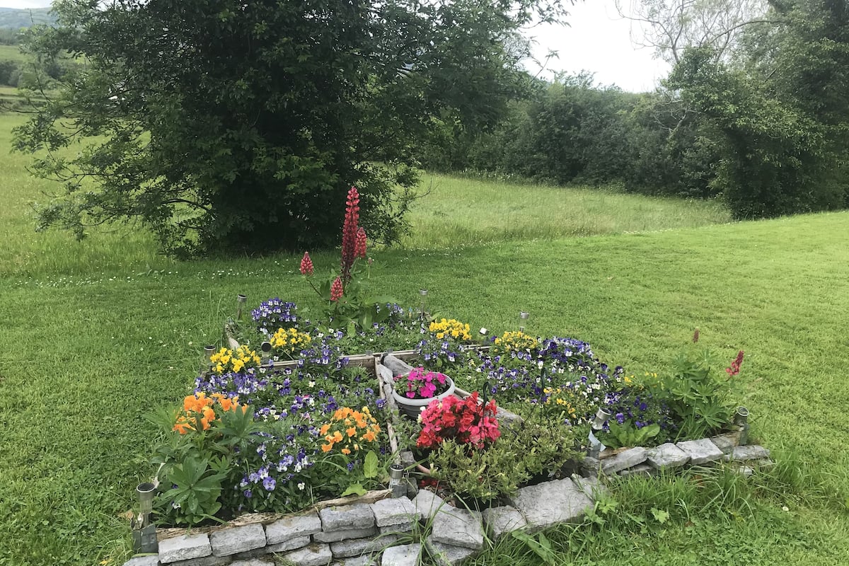 A garden with a stone border and various colorful flowers.