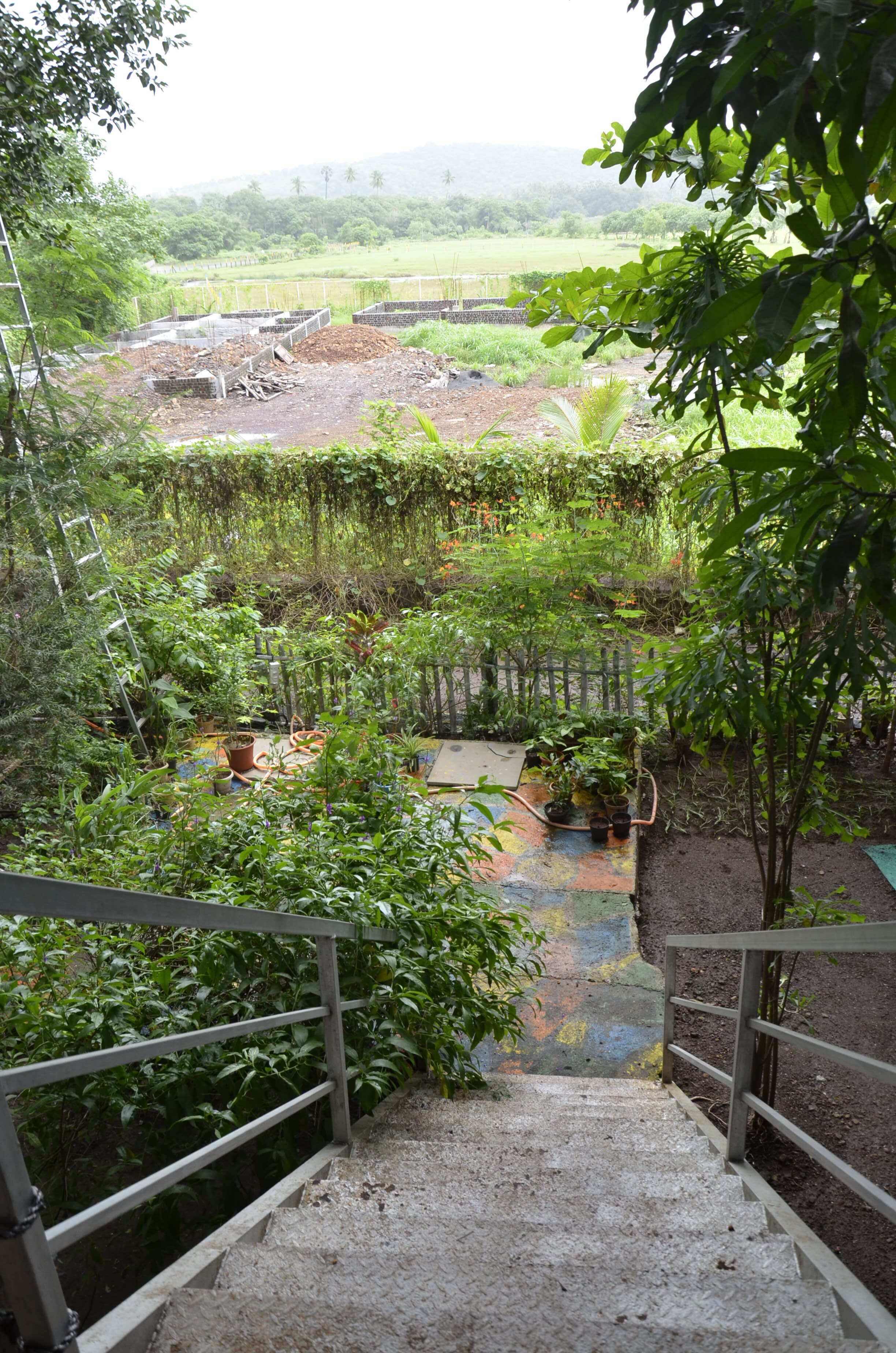 Un jardín con una escalera de hormigón que conduce a un espacio elevado con jardineras.