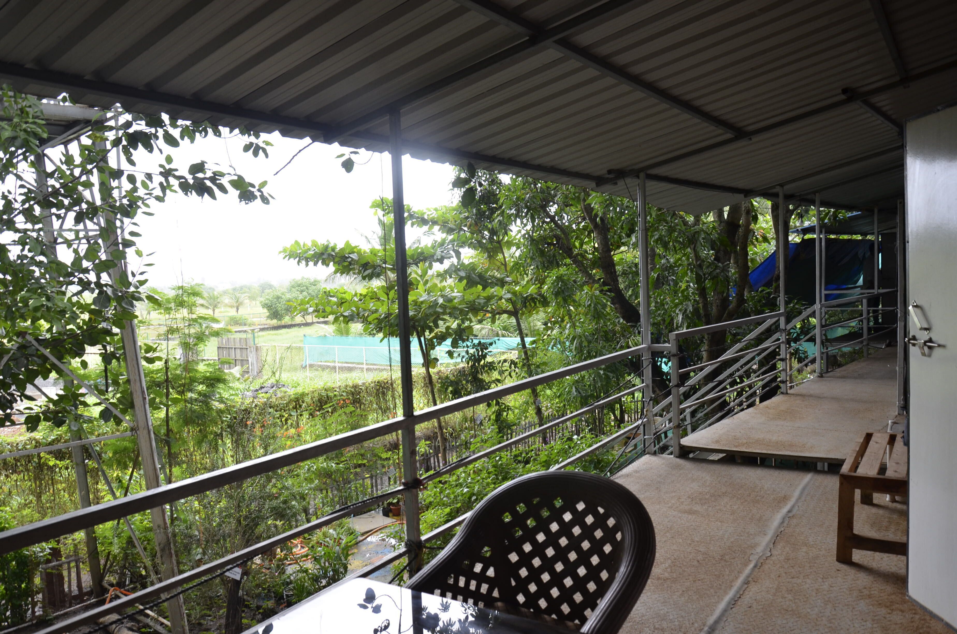 Suite Room | View from room