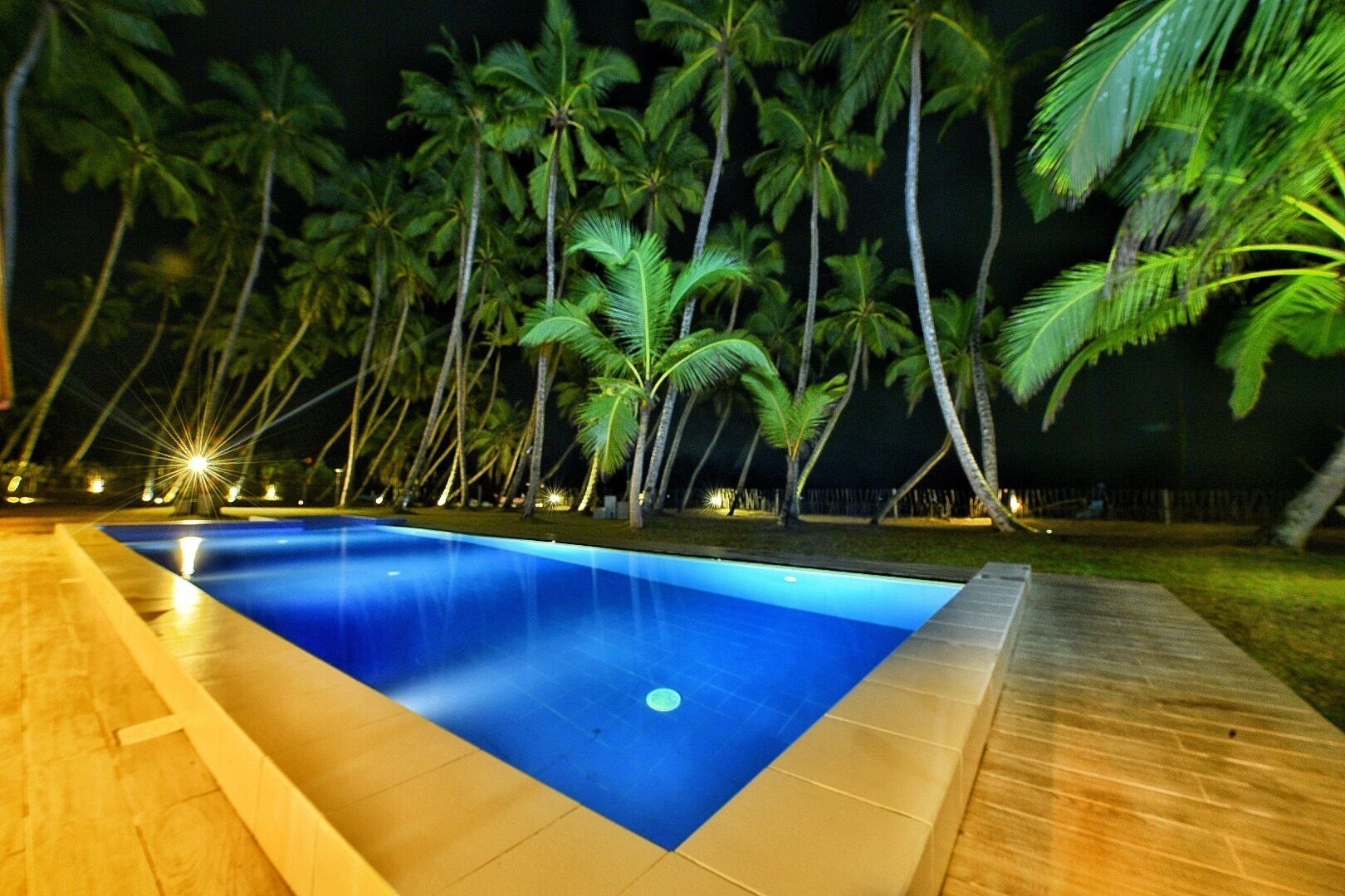 Piscina rectangular con un muelle de madera que la rodea, frente a un fondo de palmeras e iluminación nocturna.