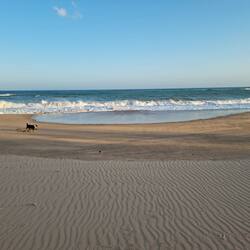On the beach, white sand, sun-loungers, beach towels