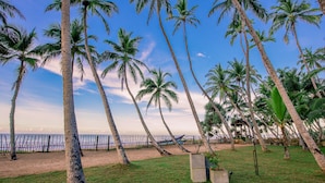 A beach with palm trees, a fence, and a building in the background. - Arhimser Villa (Kahandamodara)