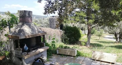Schönes Steinhaus in Politika