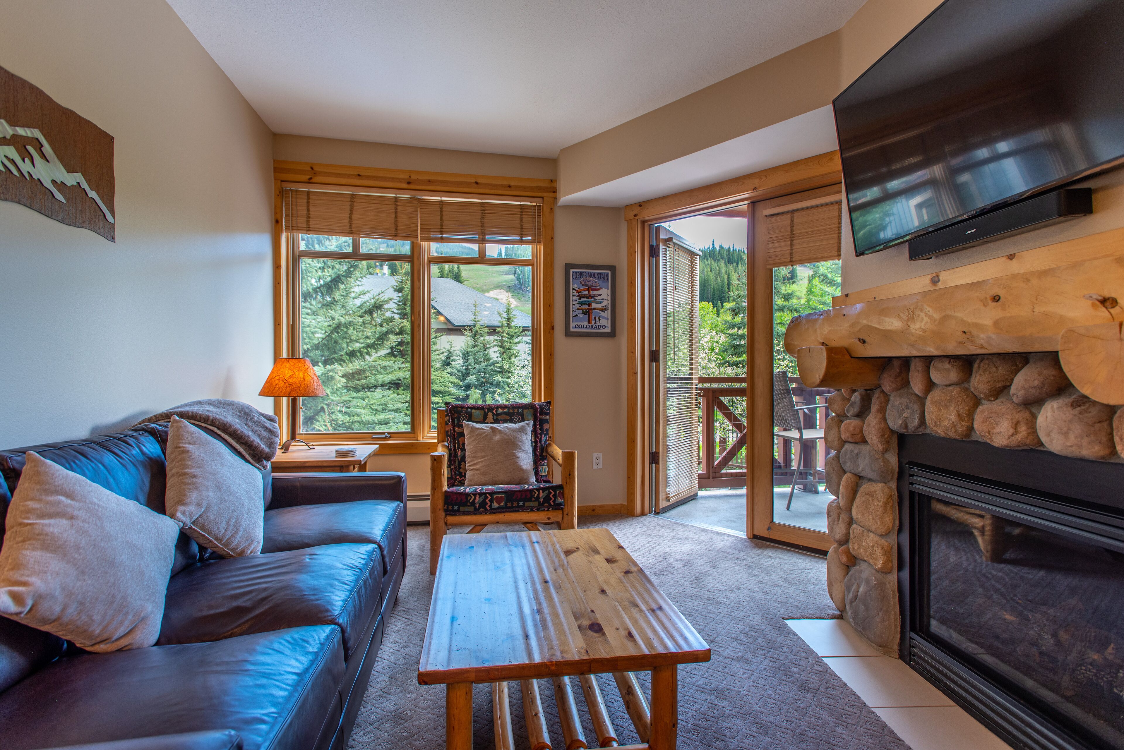 TV, fireplace