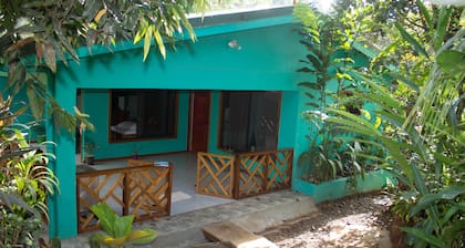 Casita cecropia en Bahía Drake