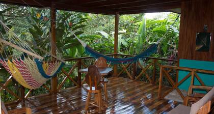 Casita cecropia in Drake Bay
